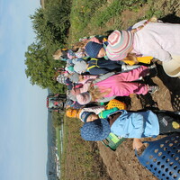 Ausflug zum Kartoffelfeld